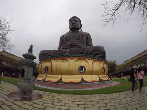 1051007