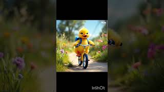 Baby Duck Cycle Ried