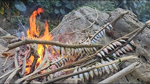 ĐI BẮT CÁ SUỐI