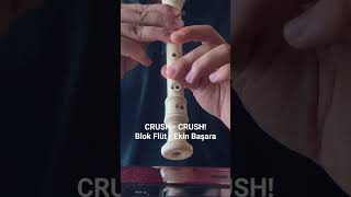 CRUSH - CRUSH! Blok Flüt Notaları (Blok Flüt - Ekin Başara)