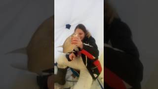 18+ Первый большой лещ для жены-радости нет предела(матно,кто ловил таких тот поймёт почему) 18+ Первый большой лещ для жены-радости нет предела(матно,кто ловил таких тот поймёт почему)