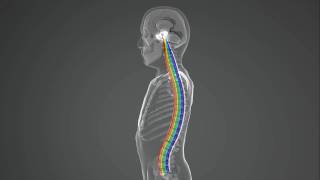 Video Animation by GPI Holding - Clip 5.avi