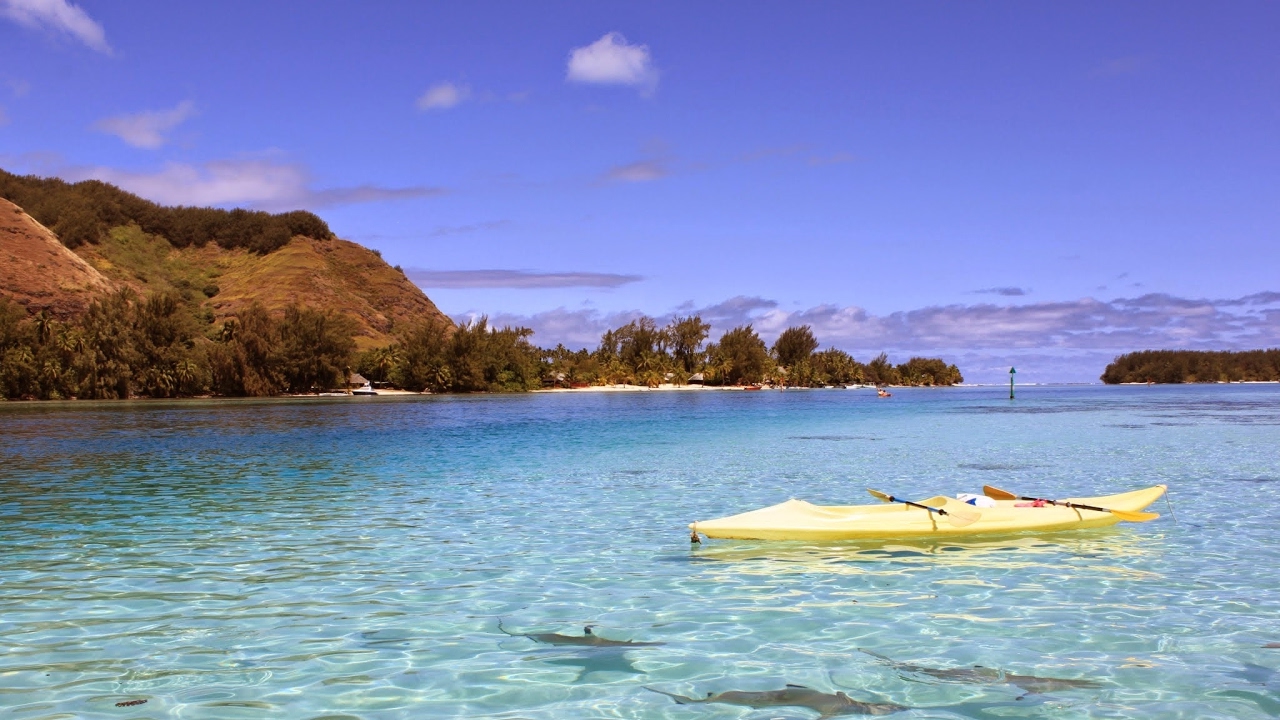 Osman the gamer I'm back