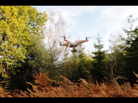 DRONE&CAMERA CAPTURE OF AUTUMN COLOURS SOMERSET