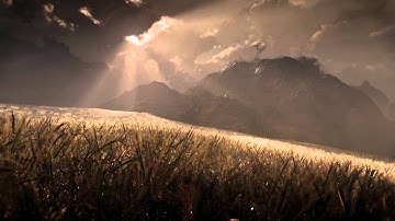 Vue Xstream wheat field