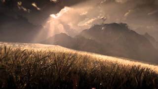 Vue Xstream wheat field