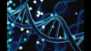 Prof Yoshan Moodley | University of Venda | ZOO3649 Evolutionary Genetics | Lecture1: DNA Sequencing