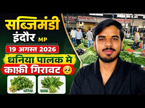 धनिया पालक मे गिरावट 🥹 -sabji mandi indore | #mirchi #sabji