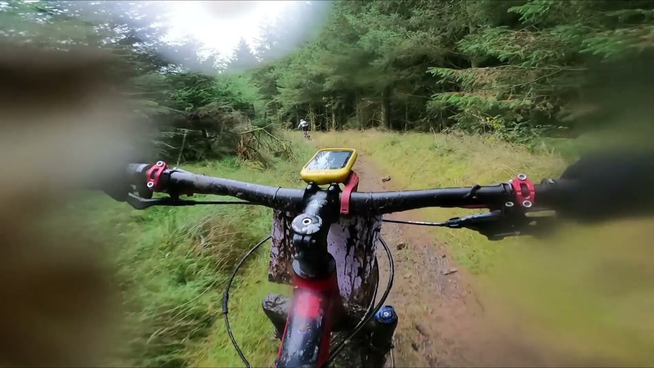 Real Ale Wobble 2021