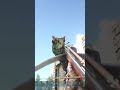 🔥😨 Flechas narcóticas en la Cabeza del Allosaurus en ARK