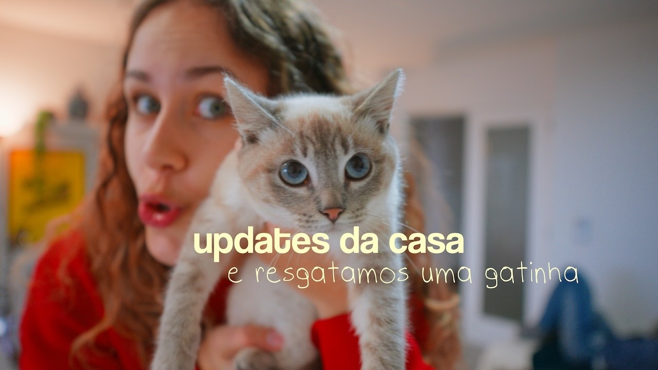 decoramos a casa🪞🧸 e encontramos uma gatinha na rua 🐈