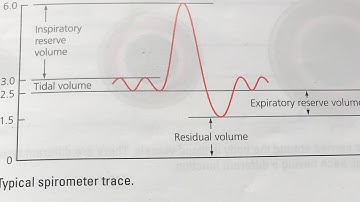 GCSE PE- Lung volumes Spirometer trace