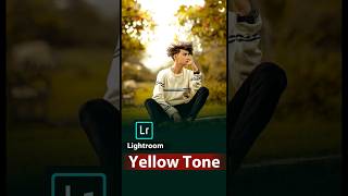 Lightroom yellow tone color grading #shorts screenshot 2