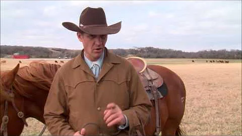 Beef Quality Assurance Program