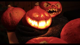 One more quick  and funny halloween pumpkin.. screenshot 4