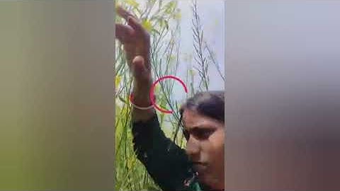 tango live | imo video call see |711