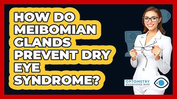 How Do Meibomian Glands Prevent Dry Eye Syndrome? - Optometry Knowledge Base