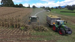 Maize Harvest 2023 Is All Go & GRASSMEN Are Here Filming Too!