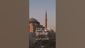 القارئ ياسر الدوسري😍❤️ #القرآن #القرآن_الكريم #المنشاوي #تلاوات #ياسر_الدوسري #اكسبلور