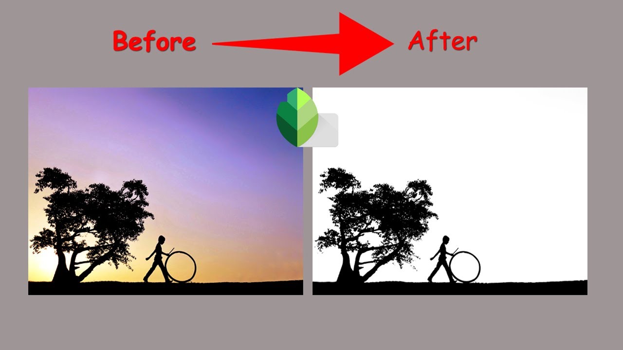 How to edit black and white photos in snapseed Android iPhone