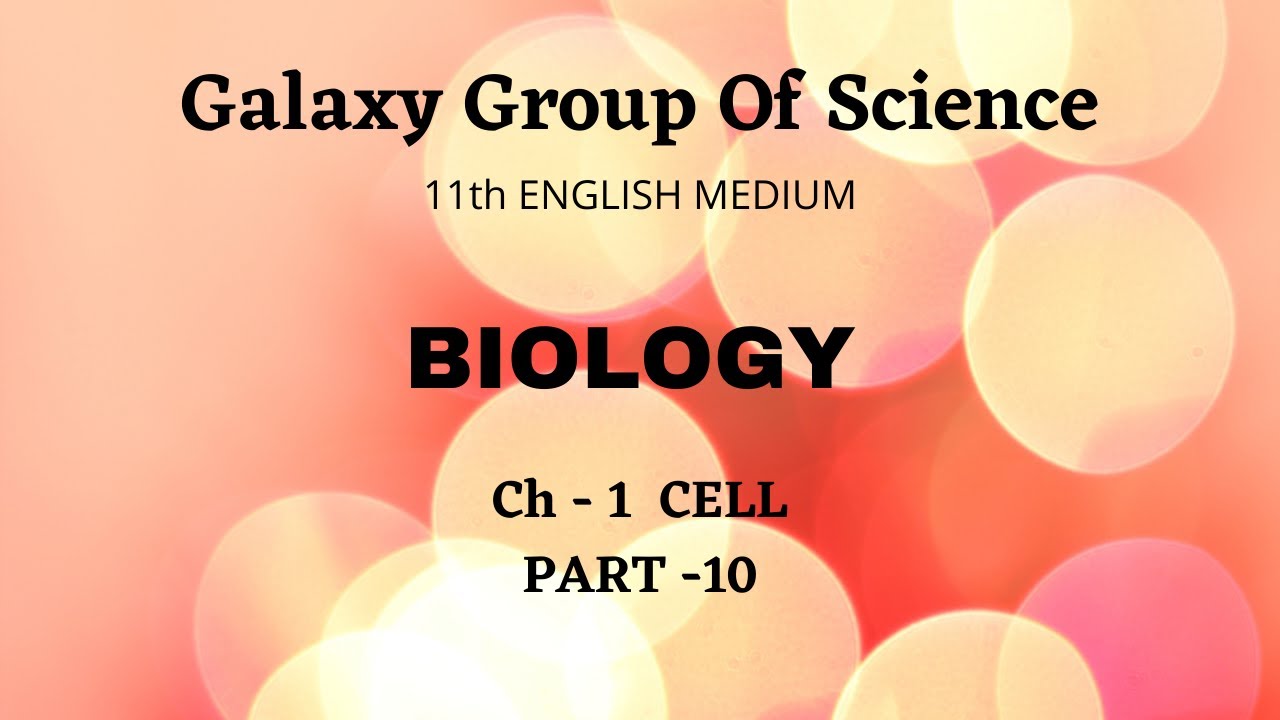 11 STD EM BIOLOGY CH 1 PART 10 YouTube