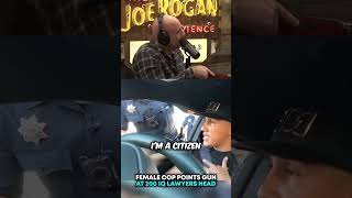 Female Cop Pulls Gun on a Lawyer