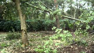 MOV06247