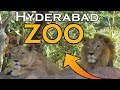 Nehru Zoological Park, Hyderabad Zoo, India in 4k ultra HD
