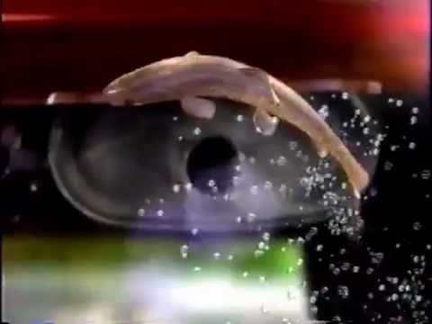 2001 Nissan Bluebird Sylphy CM
