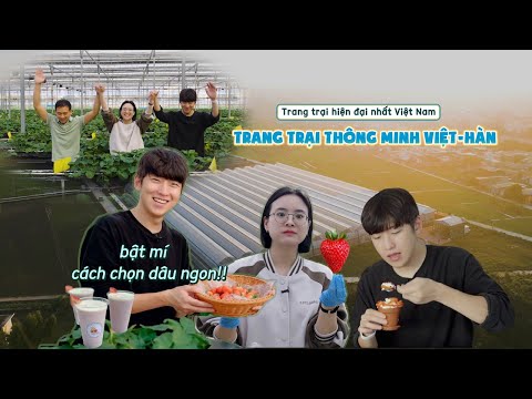 [KCC KẾT NỐI] TẬP 25: TRẢI NGHIỆM TRỒNG DÂU TẠI TRANG TRẠI THÔNG TIN HÀN - VIỆT