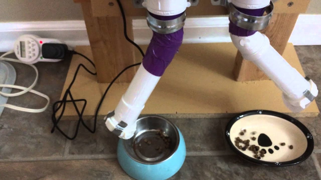 Csf Cat Feeder W Custom Built Divider And Stand Youtube