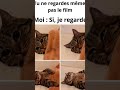 5 février 2025