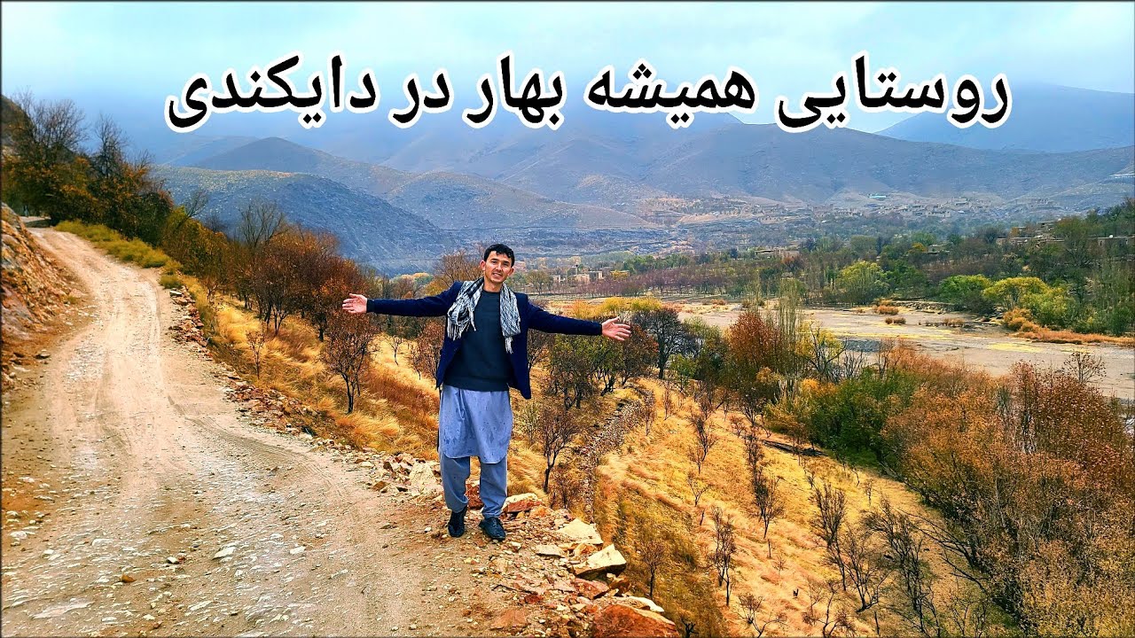 روستایی همیشه بهار در دایکندی 