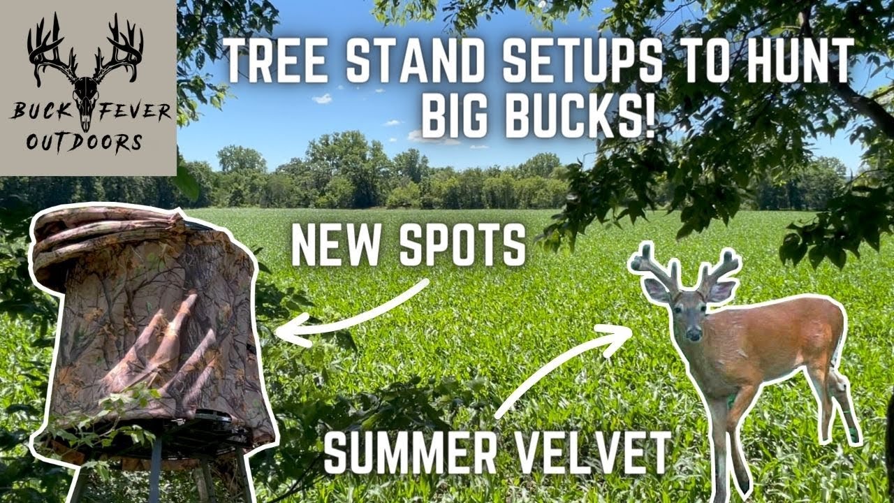 TREE STAND Locations Setup & STRATEGY on 40 ACRE FARM YouTube