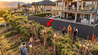 They Cut Down My Trees for Their View—So I Blinded Their Cameras Overnight