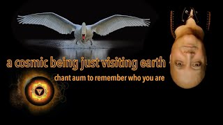 Are You A Cosmic Being Just Visiting Earth?