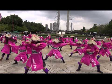 大江戸ソーラン祭り２０１３－疾風乱舞１