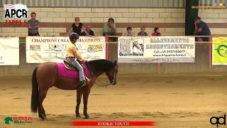 NRHA SEPTEMBER LOPE APCR 2018 - VAIRO CAROLINA sul suo CUSTOM BIG CHIC con score 64