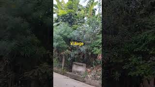 Village Nature #youtube #shortsviral