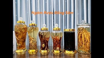 Ngâm Rượu Đẳng Sâm - Sâm Dây Đúng Cách, Tốt Cho Sức Khỏe