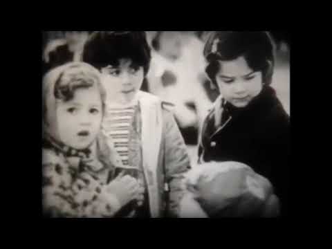 თბიილისი 80 იანი წლები