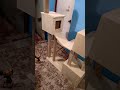 casa para gatos de triplay