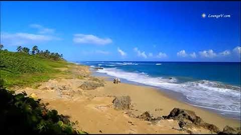 سورة الأنبياء عبدالرحمن السديس abdurrhman assodis … surat alanbia