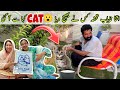 ITNA UNIQUE GIFT!🎁😱 | CAT kahan se Aagai?🐈 | BaBa Food RRC | Ramish Ch Vlogs