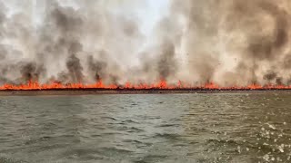 From crisis to catastrophe—the Amazon is engulfed in flames