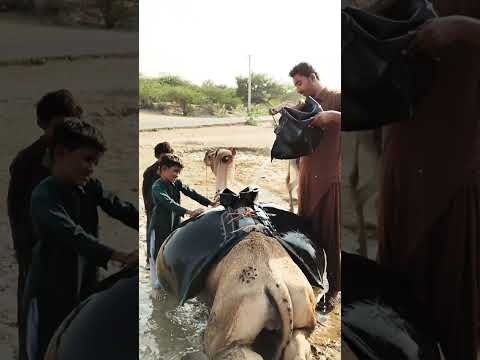 ك ي ف ي م ل أ الف ت ى و الط ف ل الم اء ف ي ن ظ ام ث ر 