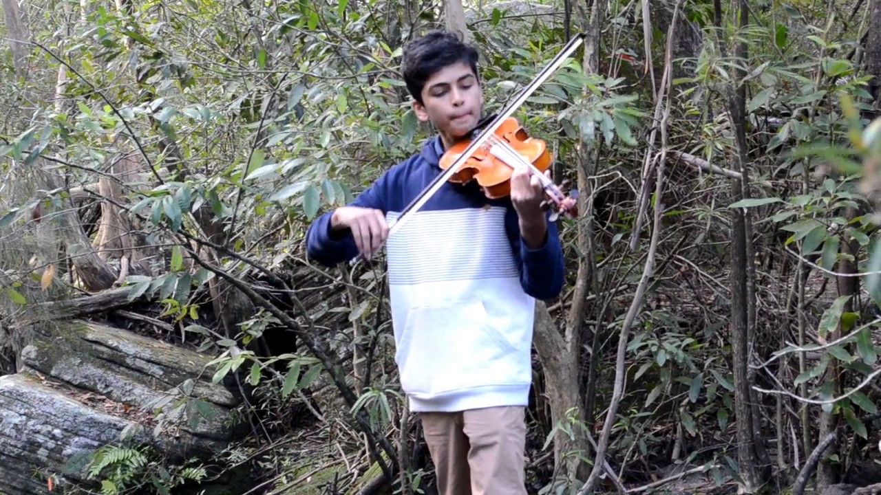 Huttidare Kannada Nadalli (ಹುಟ್ಟಿದರೆ ಕನ್ನಡ ನಾಡಲ್ಲಿ) - Karaoke - Suraj Nagaraj - (Violin cover)