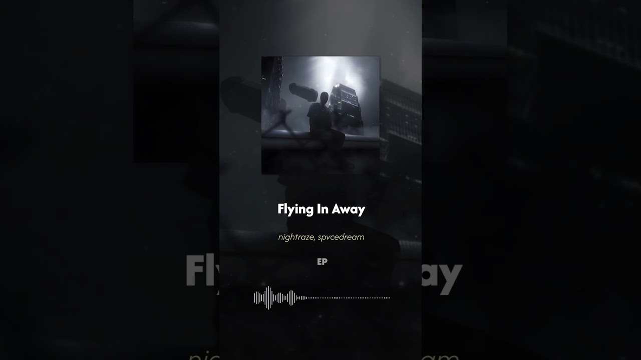 Flying In Away - nightraze, spvcedream