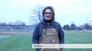 Indiana's invader: The Emerald Ash Borer