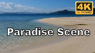 Sandbank TV Screensaver - Download Beach Video for SMART TV